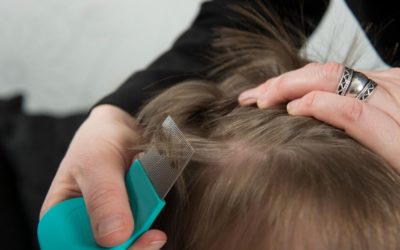 Les poux ne vous gâcheront pas la vie cette année !