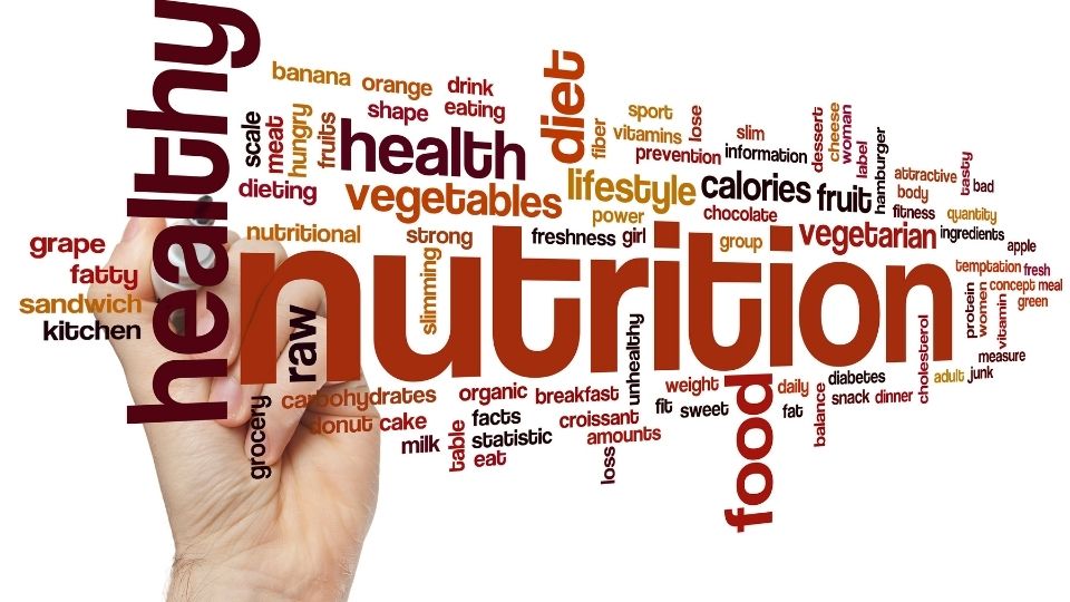 La dénutrition en question