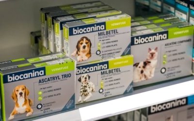 Nos soins pour vos animaux de compagnie