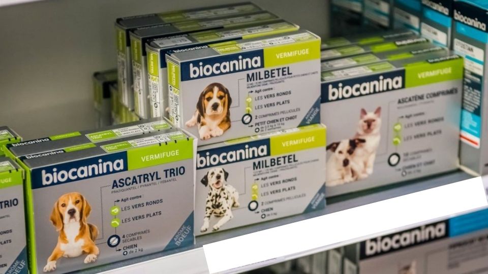 Nos soins pour vos animaux de compagnie